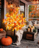 Bright Orange