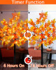 Bright Orange
