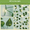 Pothos Fairy Lights(Warm White)