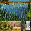 IVY Fairy Lights(Warm White)