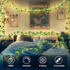 IVY Fairy Lights(Warm White)