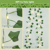 IVY Fairy Lights(Warm White)