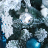 Silver Blue