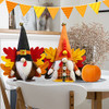 Turkey Gnomes