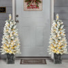 Snowy Tree