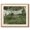 Drying White Clothes