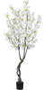 White Cherry Blossom 2