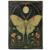 Moth