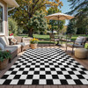 Checkered Rug