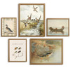 Fishing Hunting Prints