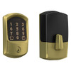 Satin Brass