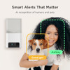Petcube Bites 2 Lite Interactive WiFi Pet Monitoring Camera with Phone App