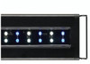 31X8+EnnJkL._SL500_.jpg
