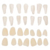 31hU7rsBbcL._SL500_.jpg