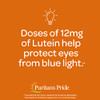 41QMV8pz3fL._SL500_.jpg