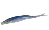 21awwOldKPL._SL500_.jpg