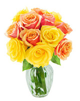 Orange and Yellow