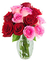 Red and Pink