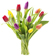 Red, Orange, Purple and Yellow
