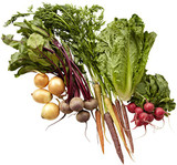 51p93WKpHoL._SL500_.jpg 51p93WKpHoL._SL500_.jpg