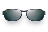 Matte Black/Neutral Grey Polarized