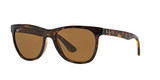 Light Havana/Polarized Brown