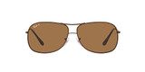Brown/Polarized Brown