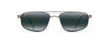 Gunmetal/Neutral Grey Polarized