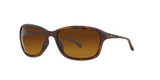 Matte Brown Tortoise