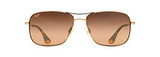 Gold/Hcl Bronze Polarized