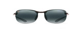 Gloss Black/Neutral Grey Polarized