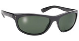 Black Frame/G-15 Grey Lens