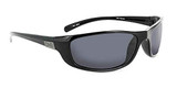 Shiny Black Frame With Smoke Lens