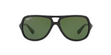 Black/Polarized Green