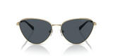 Light Gold/Dark Grey Solid