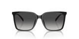 Black/Dark Grey Gradient
