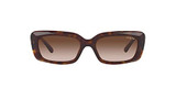 Dark Havana/Brown Gradient