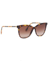 Dark Havana/Brown Gradient-3854/13