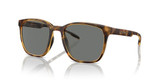 Matte Tortoise