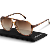 Brown Tortoise/Brown