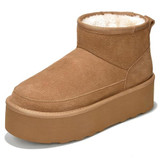 01-chestnut 01-chestnut