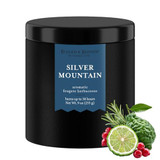 Silver Mountain