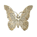 Butterfly-2