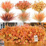 Fall Orange Red