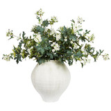 Kalanchoe