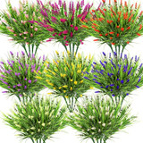 Colorful Lavender Flowers