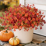 Orange, Autumn Red