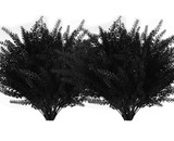 12-black