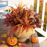 Fall