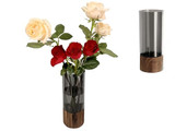 Cylinder Black Transparent